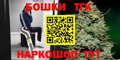 МДПВ Новозыбков