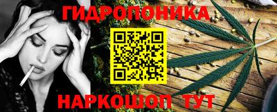 МДПВ Новозыбков