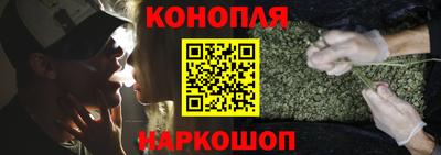 МДПВ Новозыбков