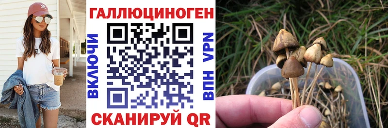 Псилоцибиновые грибы Psilocybine cubensis Липецк