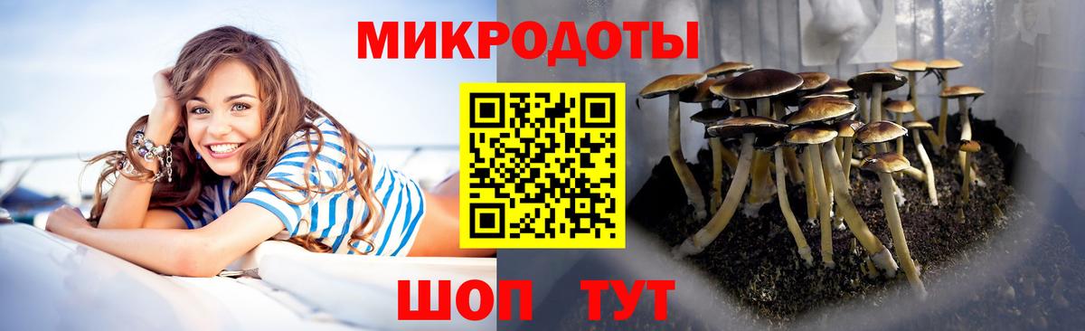 закладка  Псилоцибиновые грибы MAGIC MUSHROOMS  Вход с VPN  Липецк 